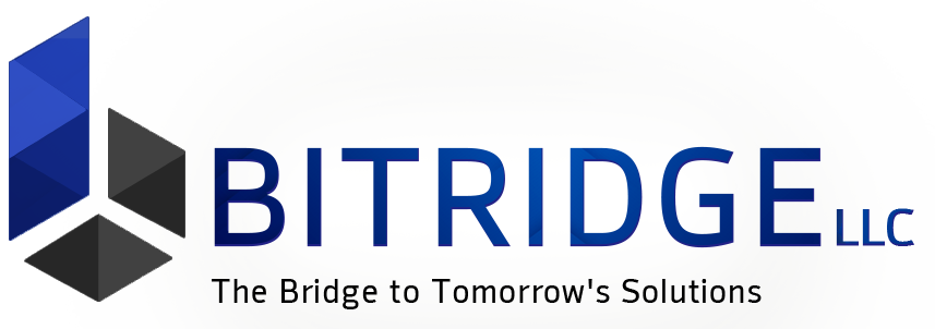 BITRIDGE LLC
